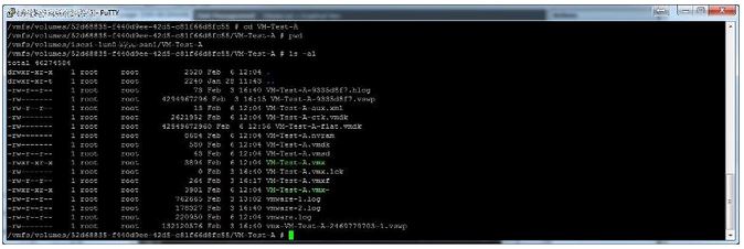 vms10.JPG